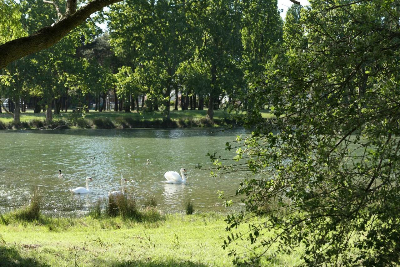 Villa Pecheur Damgan Dış mekan fotoğraf