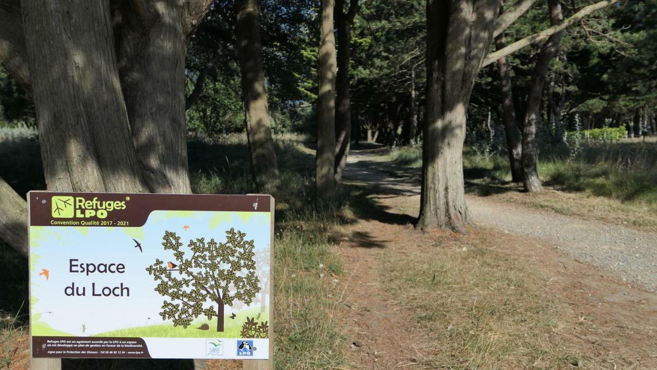 Villa Pecheur Damgan Dış mekan fotoğraf